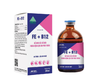 FE + B12