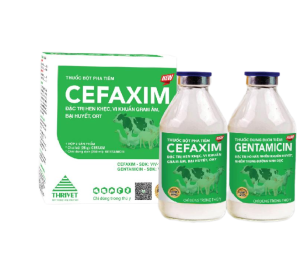 CEFAXIM (NEW)