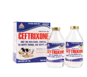 CEFTRIXONE