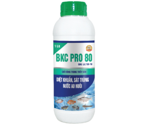 BKC PRO 80