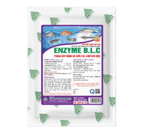 ENZYME B.L.C