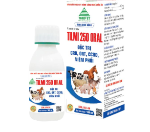 TILMI 250 ORAL
