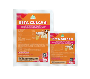 BETA GULCAN