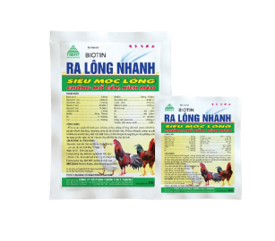 BIOTIN RA - RA LÔNG NHANH