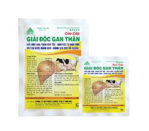 GIẢI ĐỘC GAN THẬN CAO CẤP 
