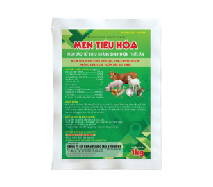 MEN TIÊU HOÁ 