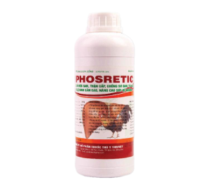 PHOSRETIC