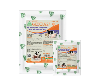 AMOXICOL W.S.P-10