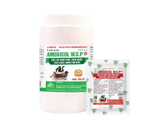 AMOXICOL W.S.P-20