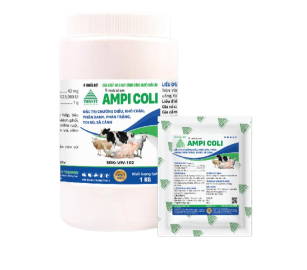 AMPI COLI