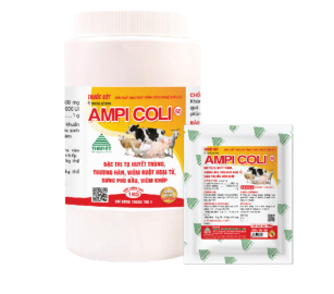 AMPI COLI-50