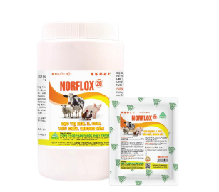 NORFLOX-20