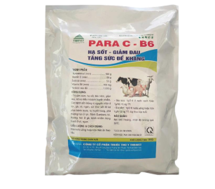 PARA C-B6