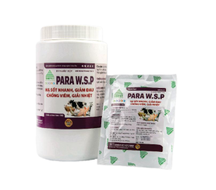 PARA W.S.P