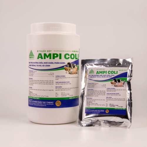AMPI COLI