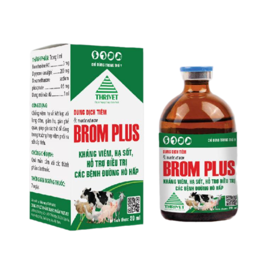 BROM PLUS