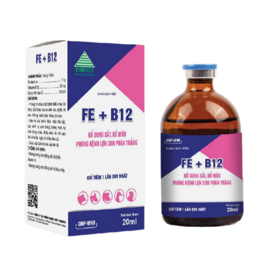 FE + B12