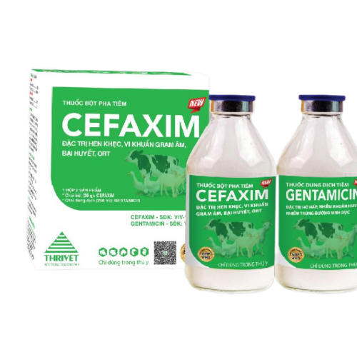 CEFAXIM (NEW)