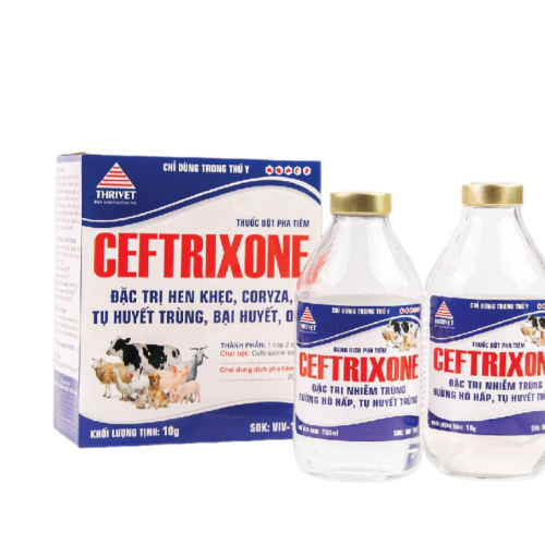 CEFTRIXONE