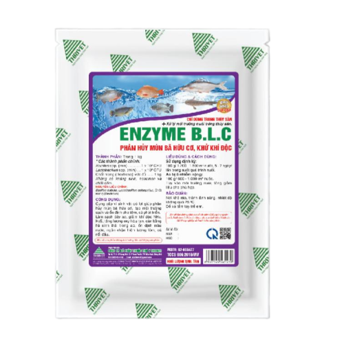 ENZYME B.L.C