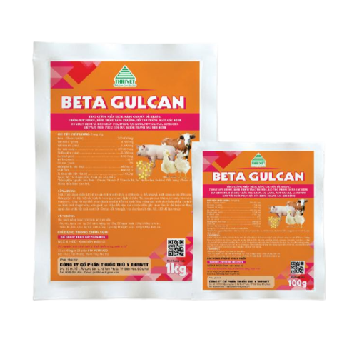 BETA GULCAN