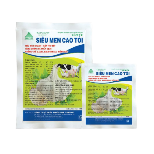 SIÊU MEN CAO TỎI 