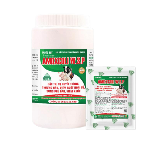 AMOXCOLI W.S.P