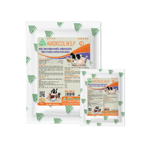 AMOXICOL W.S.P-10