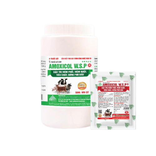 AMOXICOL W.S.P-20