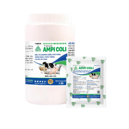 AMPI COLI