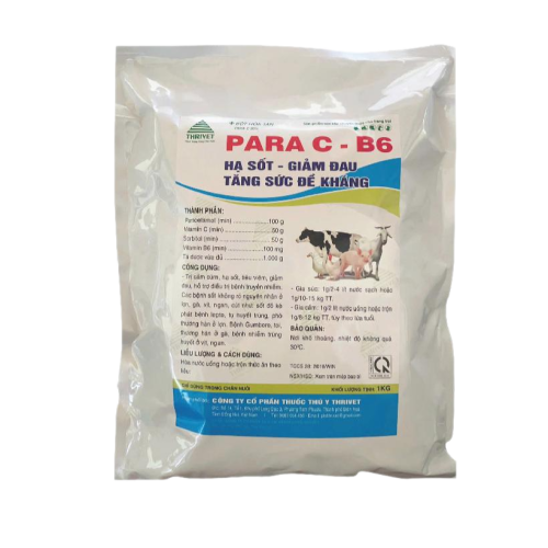 PARA C-B6