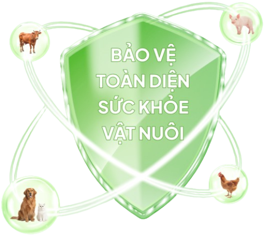 CHÀO MỪNG ĐẾN VỚI THRIVET